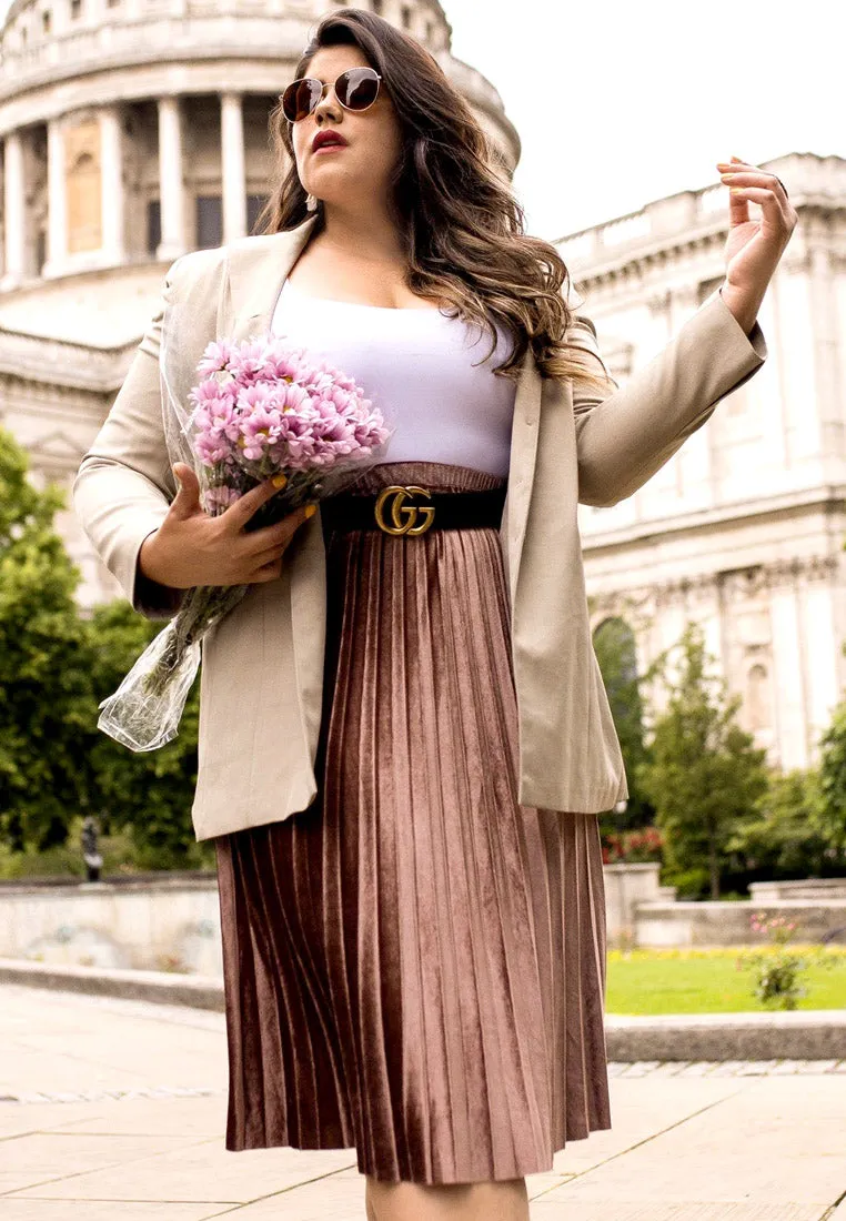 accordion pleated long skirt