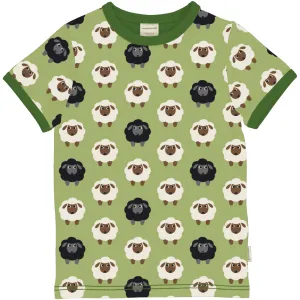 Sheep SS Top